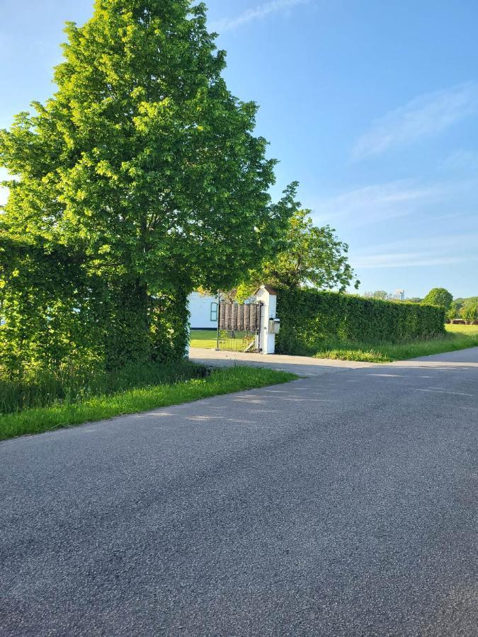 Villazzo Gand Esterno foto