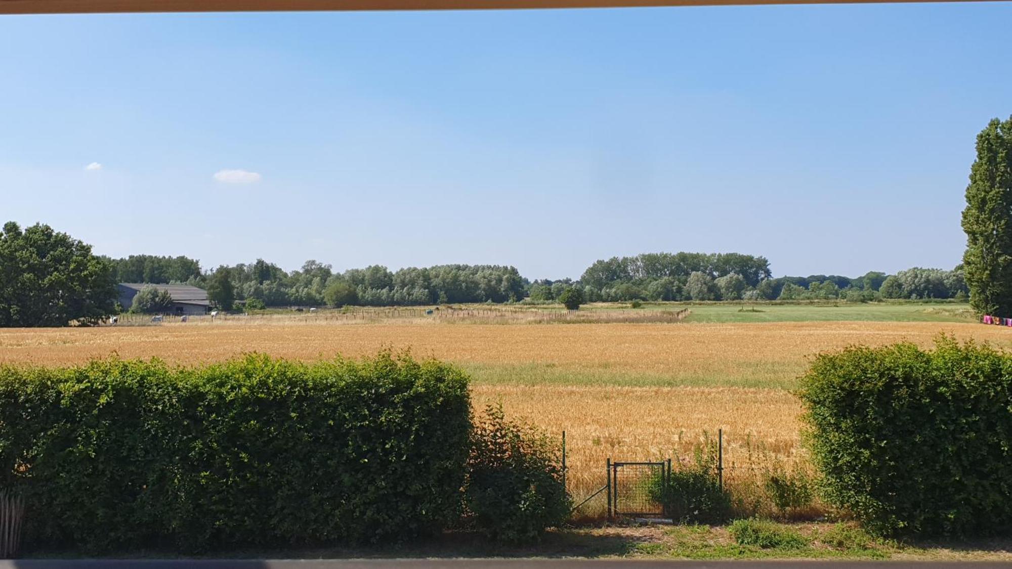 Villazzo Gand Esterno foto